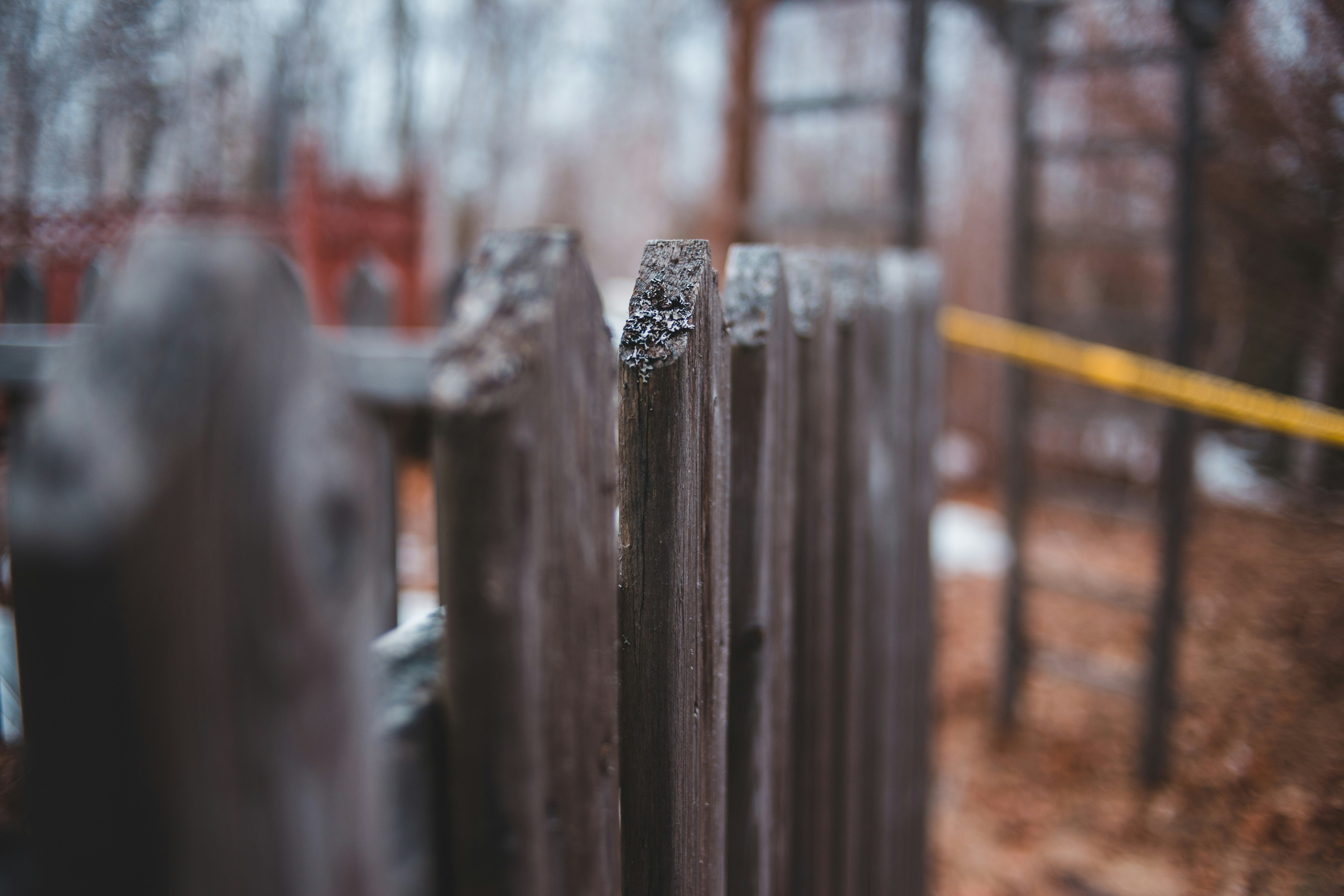 selective focus photography of brown wooden fence